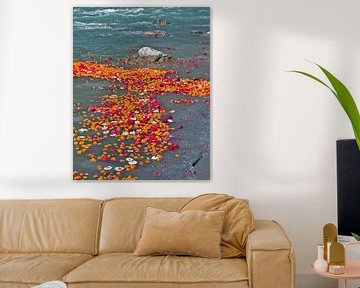 Bloemen in de rivier de Ganges in India by Eye on You