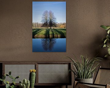 Landgoed Marquette spiegeling bomen van CreaBrig Fotografie