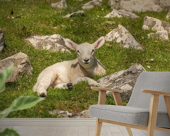 Raumvorschau