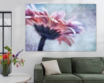 Gerbera blossom by INA FineArt