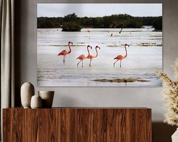 Flamingo's van Astrid Decock