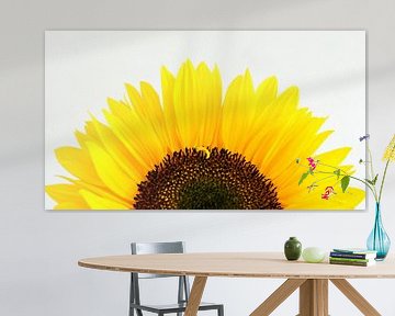 Sonnenblume von Jessica Berendsen