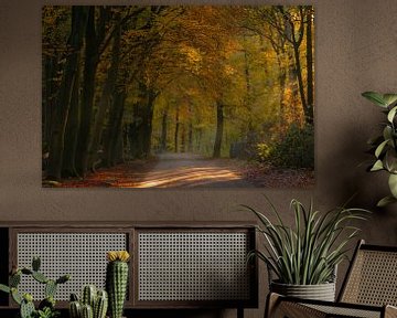 Herfst in Goirle van Miranda Rijnen Fotografie