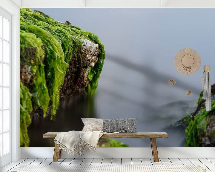 Sfeerimpressie behang: Zeewier groen 7 van Albert Wester Terschelling Photography