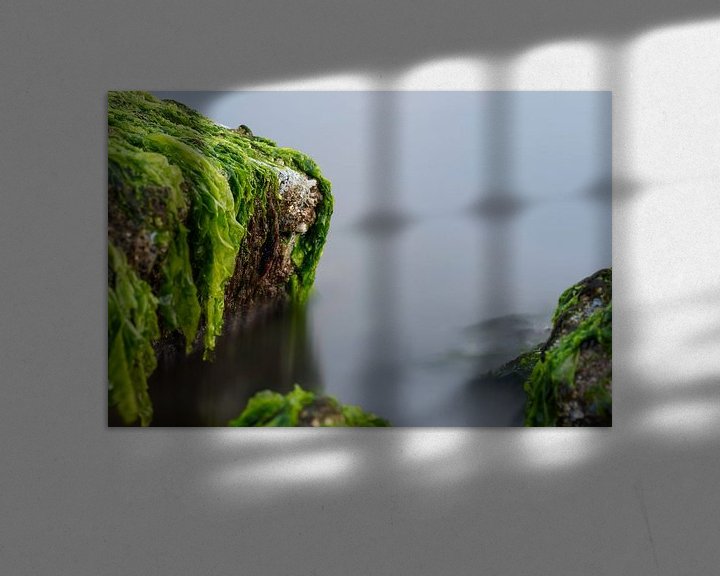 Sfeerimpressie: Zeewier groen 7 van Albert Wester Terschelling Photography