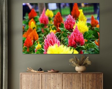 prachtige punt bloemen