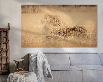 Wheat sheaves on a golden field of mowed grane by Michel Seelen