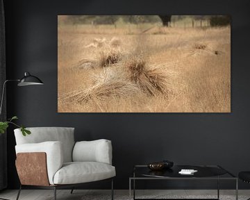 Wheat sheaves on a golden field of mowed grane by Michel Seelen