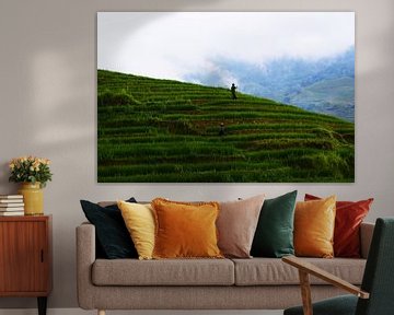 Rice fields in the mountains of Sapa by Zoe Vondenhoff