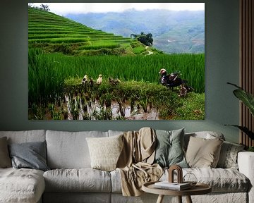 Famille sur les rizières vietnamiennes sur Zoe Vondenhoff