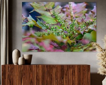 Adembenemend / plant