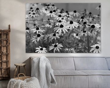 Flowers in black and white sur Anita van Hengel