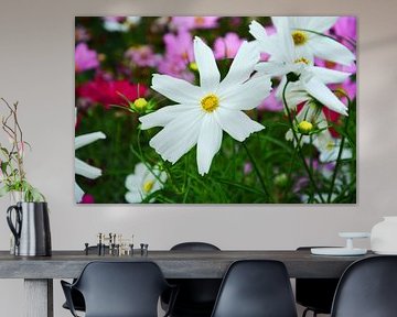 witte bloemen