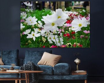 witte bloemen