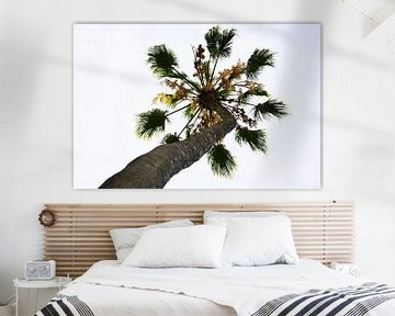 hoge palm boom van Gerrit Neuteboom
