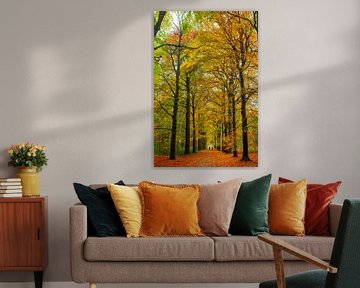 Boswandeling in de herfst van Karel Warburg