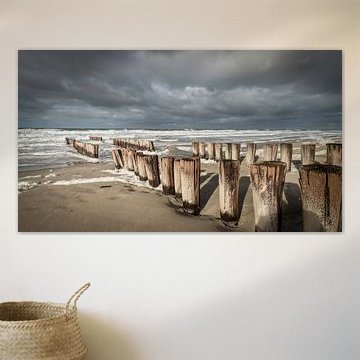 Têtes de poteaux sur la côte orageuse de la Zélande