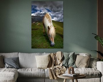 Zuid-Tiroler Haflinger-paard in de Dolomieten van Martina Weidner