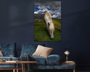 South Tyrol Haflinger horse in the Dolomites by Martina Weidner