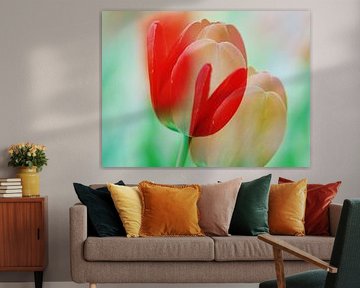 Tulip Art1