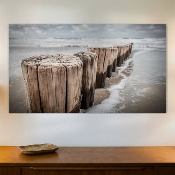 Gros plan sur les Poleheads sur la plage de Zeeland