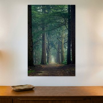 Portal through the forest