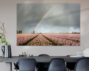 Regenbogen über Windmühlen und Hyazinthenblumen von iPics Photography