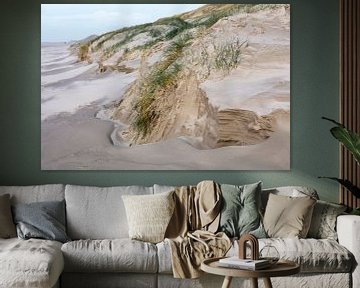 Schoorlse Dunes by Johan Zwarthoed