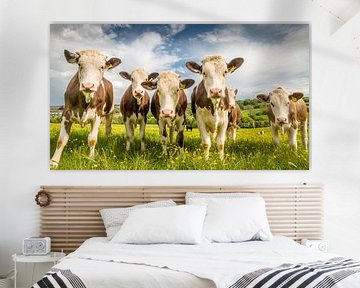 Bruin/witte koeien in het Engelse groene gras van Michel Seelen