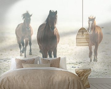 Horses running by Erik Veldkamp