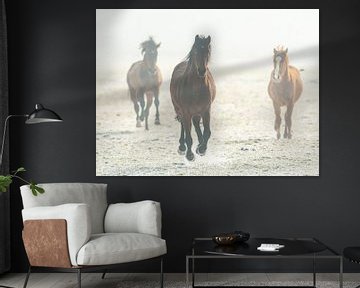 Pferde im Galopp von Erik Veldkamp