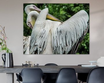 Danse de l'oiseau sur Annelies Martinot