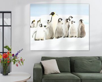 Pinguïn-kleuterklasje von Sietske Ebus-Mulders