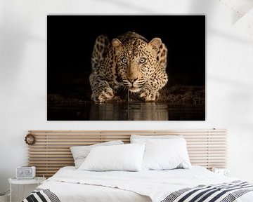 Drinking leopard at night by Jos van Bommel