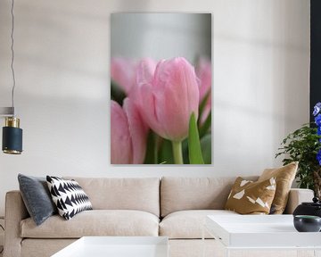 beautiful pink tulips van nele huyck