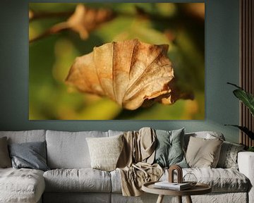 an autumn leaf van nele huyck