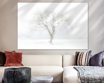 Winterbaum von Ingrid Van Damme fotografie