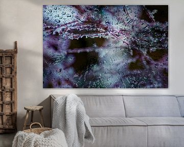 Concept frozen : Frozen leaves