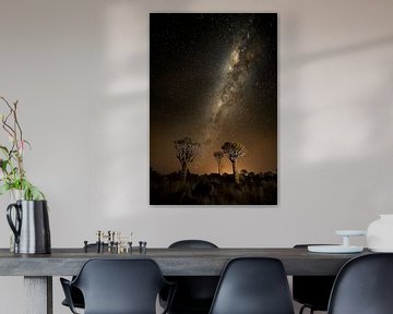 Starry night by Jos van Bommel