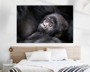 Gorilla baby van Jos van Bommel
