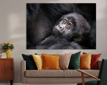 Gorilla baby by Jos van Bommel