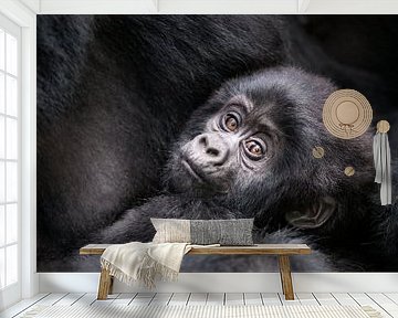 Gorilla baby van Jos van Bommel