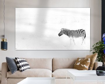 Zebra in zwart-wit