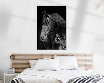 Friesian mare in black and white von Wybrich Warns