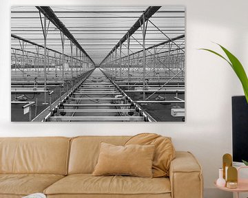 Abstracte foto met lijnen in zwart-wit