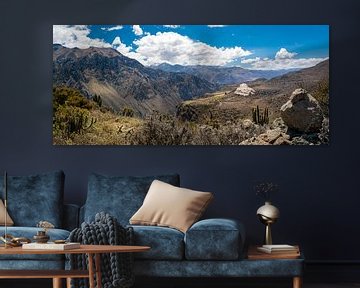 Large panorama du canyon de Colca, Pérou sur Rietje Bulthuis