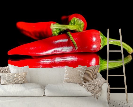 Raumvorschau