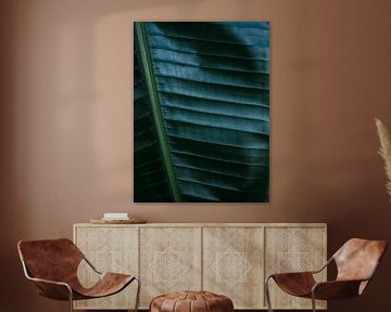 Botanische Fotografie drucken | Dunkelgrünes tropisches Blatt einer Palme | Dschungel-Wanderlust-Kun von Raisa Zwart