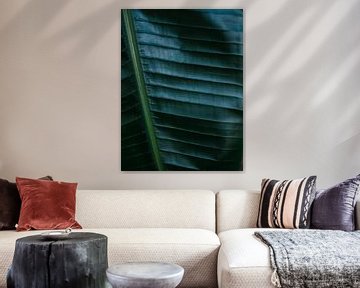 Donkergroen palmblad | Botanische foto print voor aan de muur van Raisa Zwart