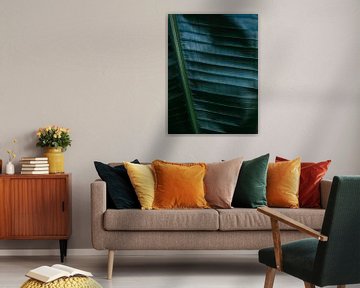 Donkergroen palmblad | Botanische foto print voor aan de muur van Raisa Zwart